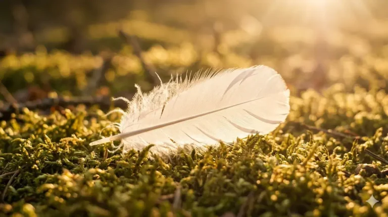 veer in gras met zonlicht als symbool voor overgave en loslaten en genieten