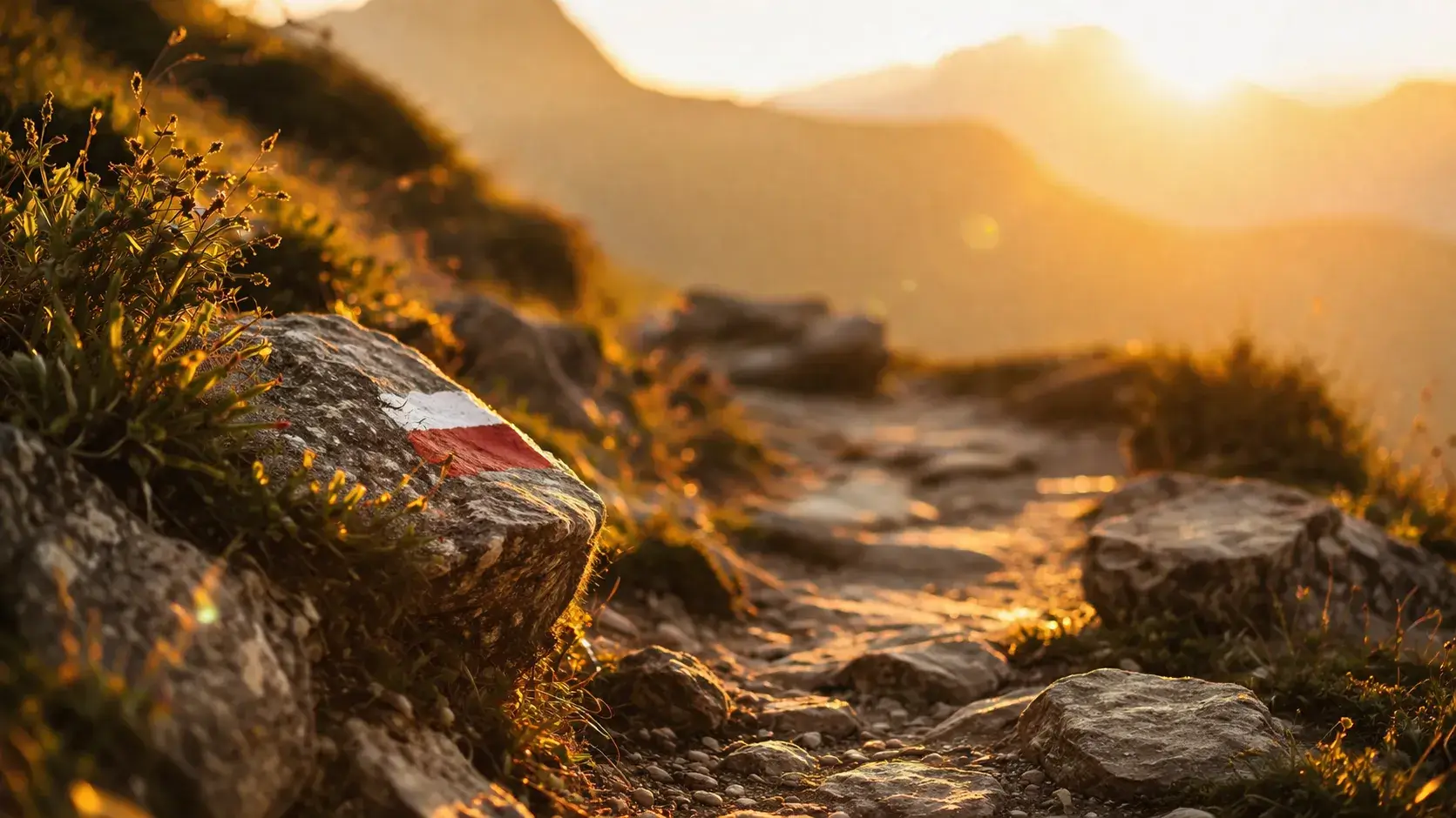oneffen pad in warm zonlicht als metafoor voor jezelf ongemakkelijk voelen