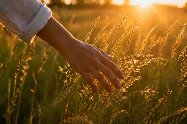 Hand die zacht door gras beweegt in warm zonlicht, waarbij plezier en gevoel zich verdiepen wanneer je aandacht vertraagt