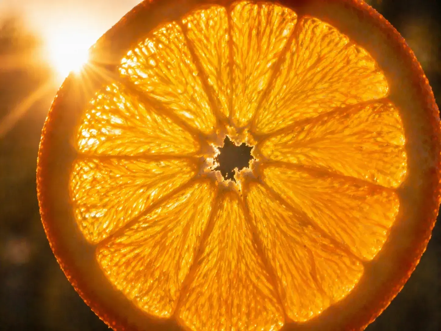 zonlicht door een sinaasappelschijf als metafoor voor jezelf onderuit halen en de impact ervan van binnenuit voelen