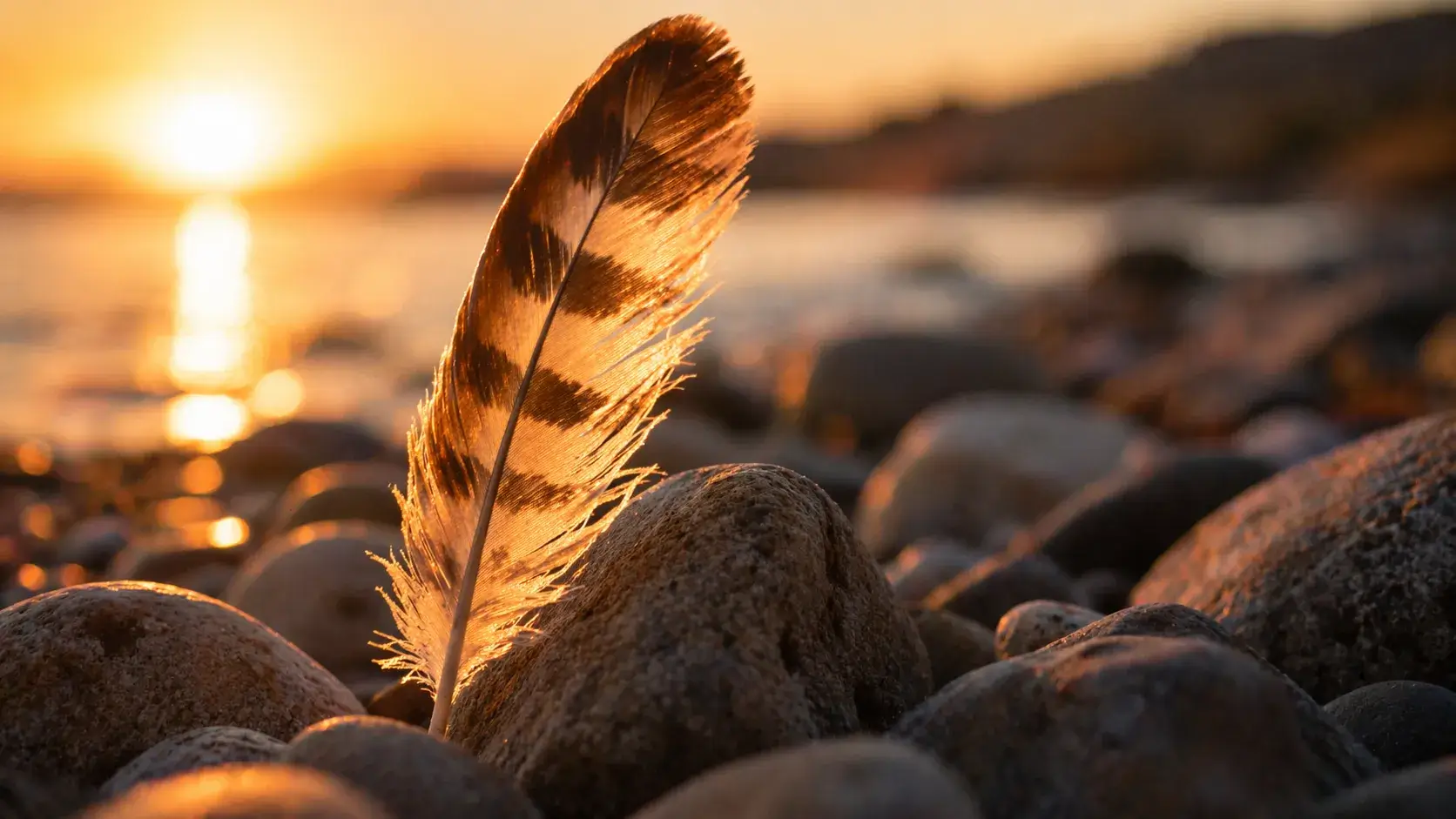 Veer tussen stenen in warm zonlicht als beeld bij luisteren naar wat je lichaam aangeeft